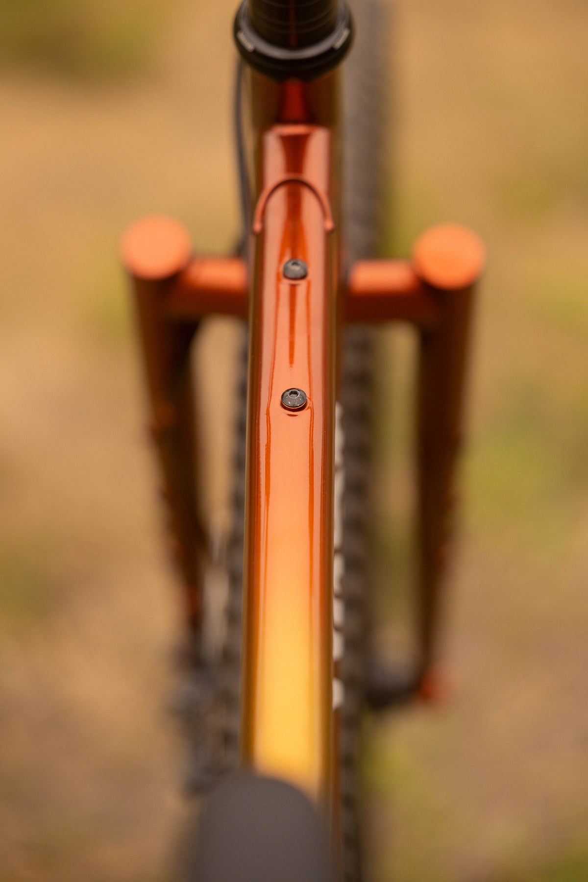 WILDE BICYCLE Supertramp Frame Set - Golden Sunrise