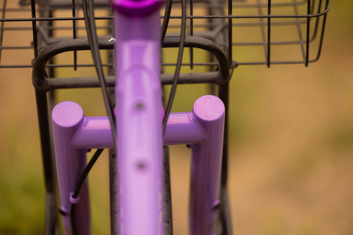 WILDE BICYCLE Supertramp Frameset - Team Edition