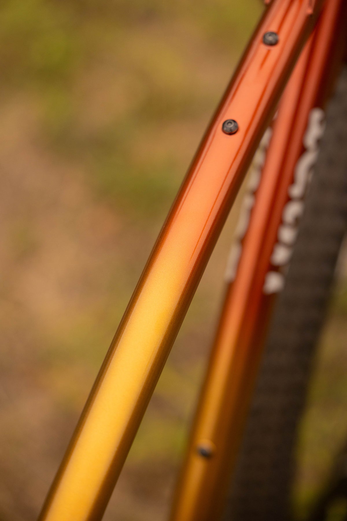 WILDE BICYCLE Supertramp Frame Set - Golden Sunrise